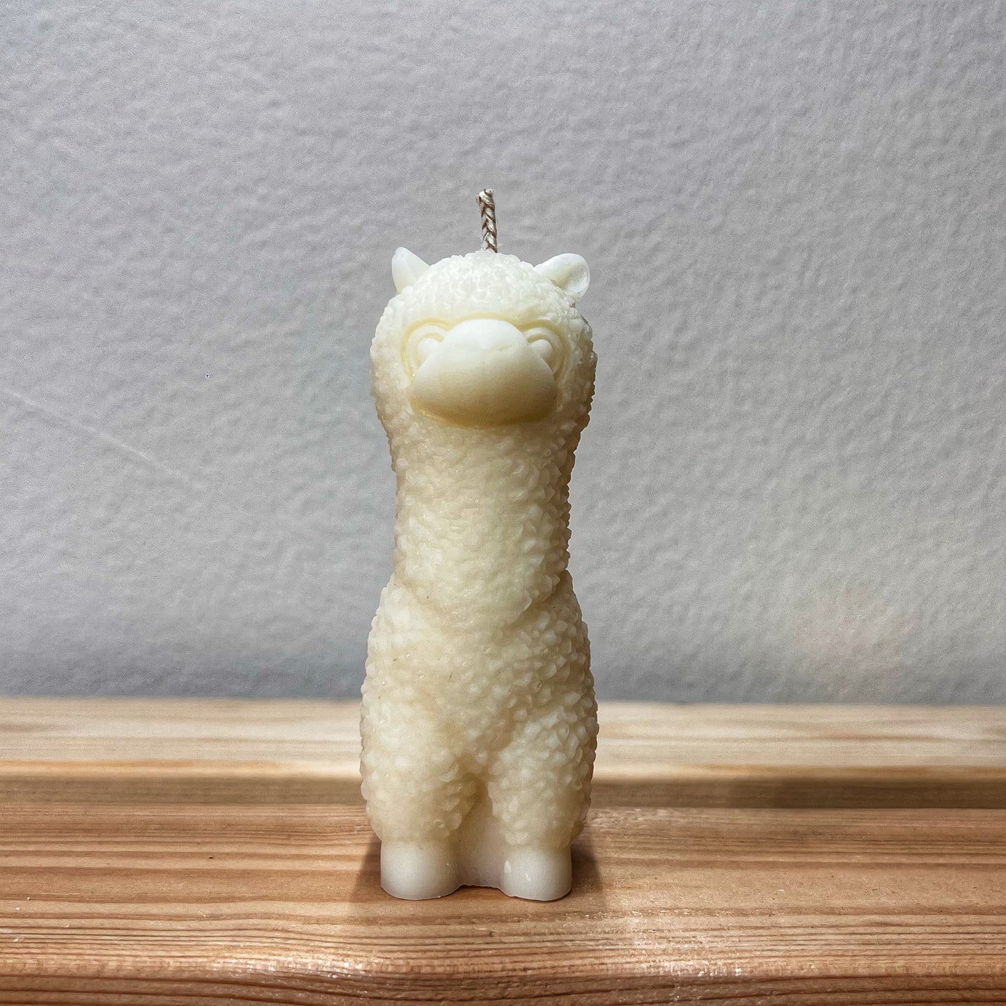 Alpaca junior