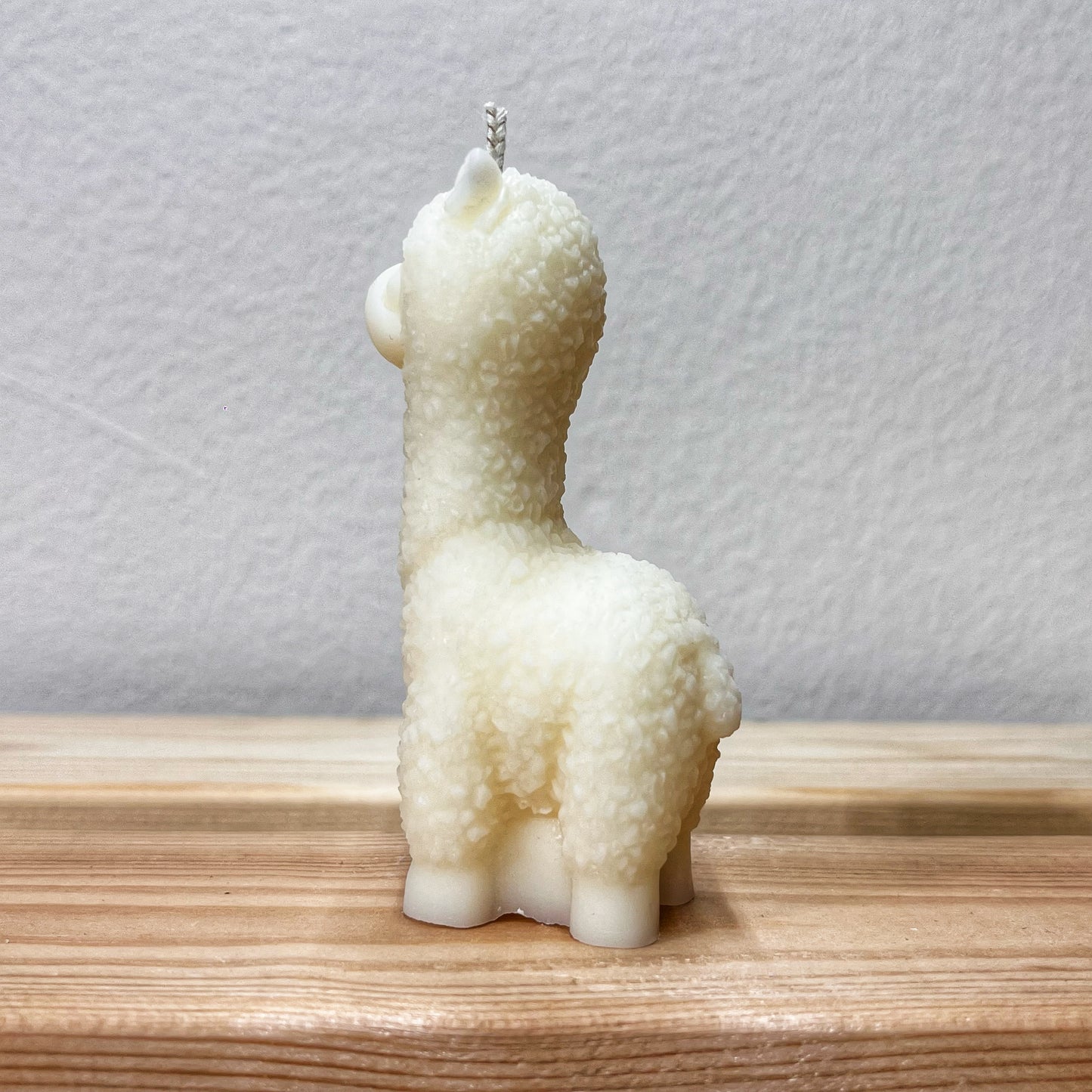 Alpaca junior