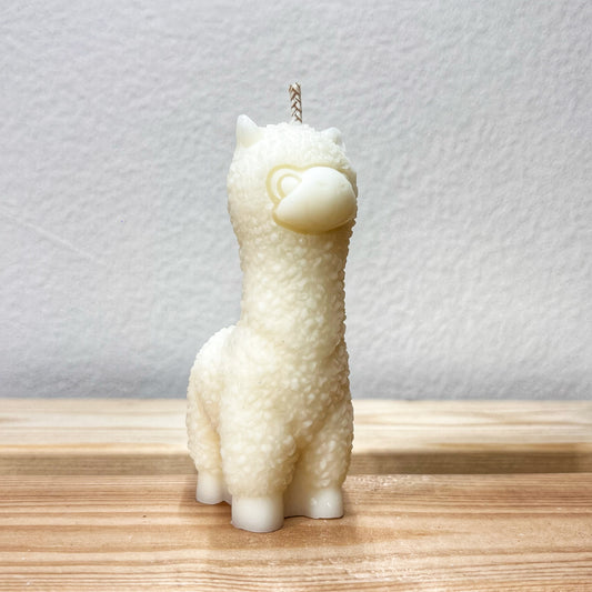 Alpaca junior